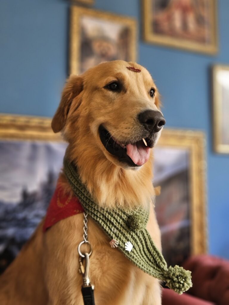 Foto de capa