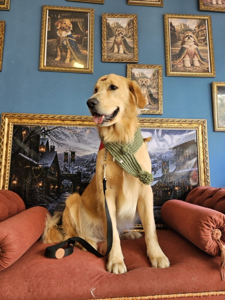 Foto de capa