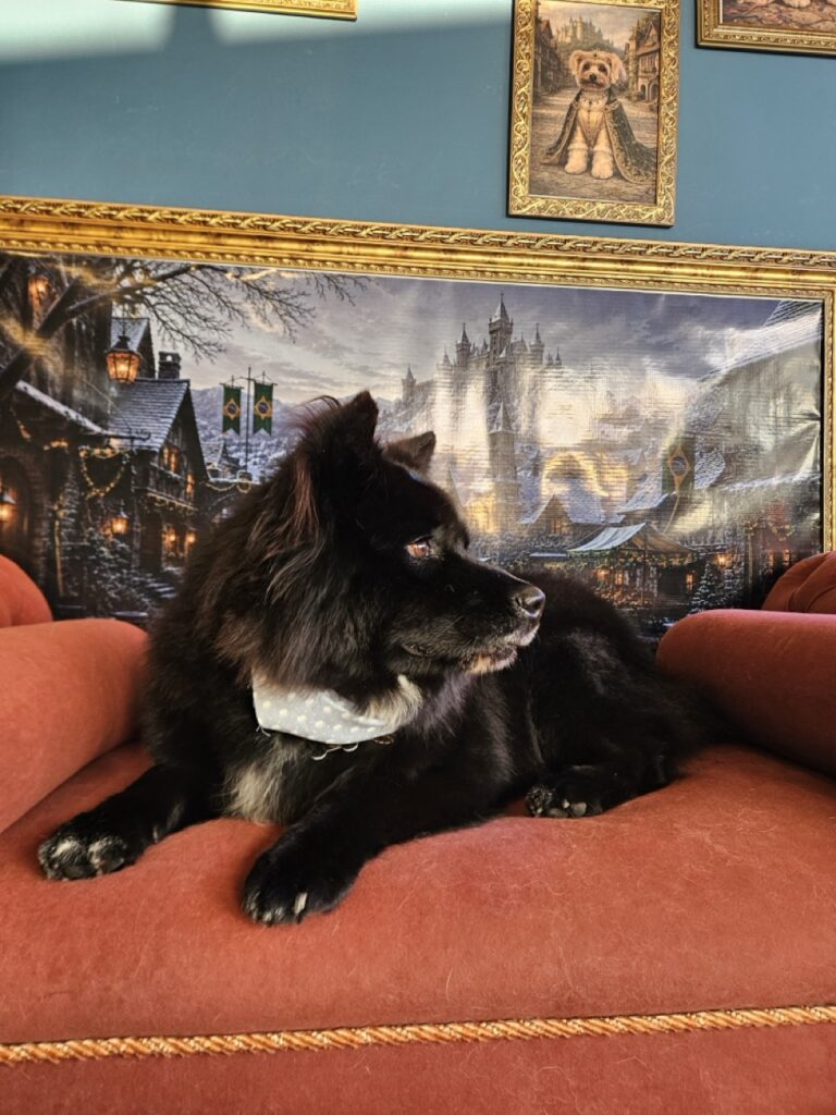 Foto de capa