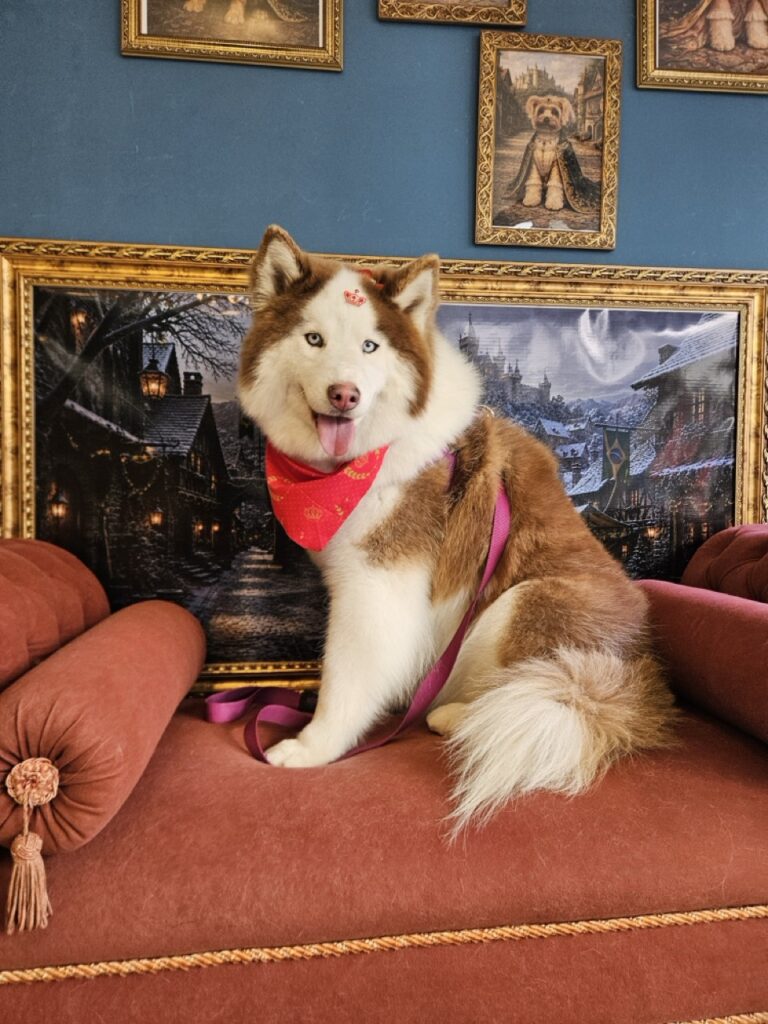 Foto de capa