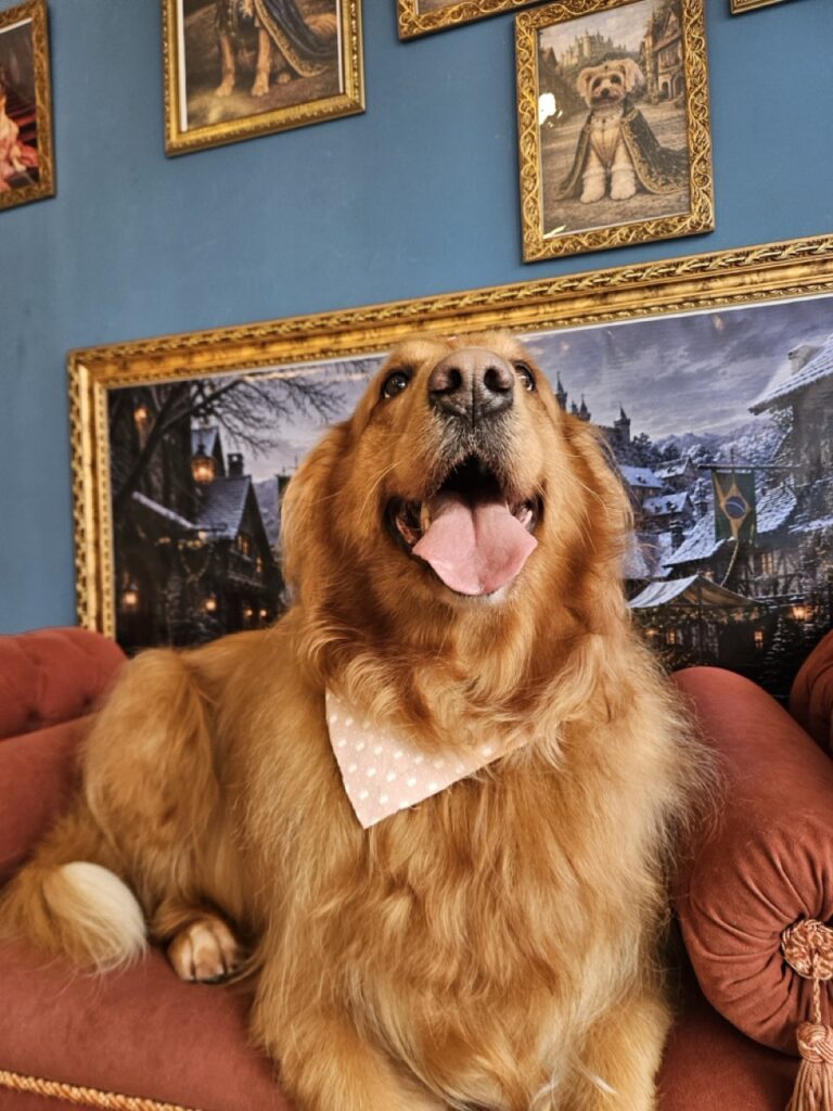 Foto de capa