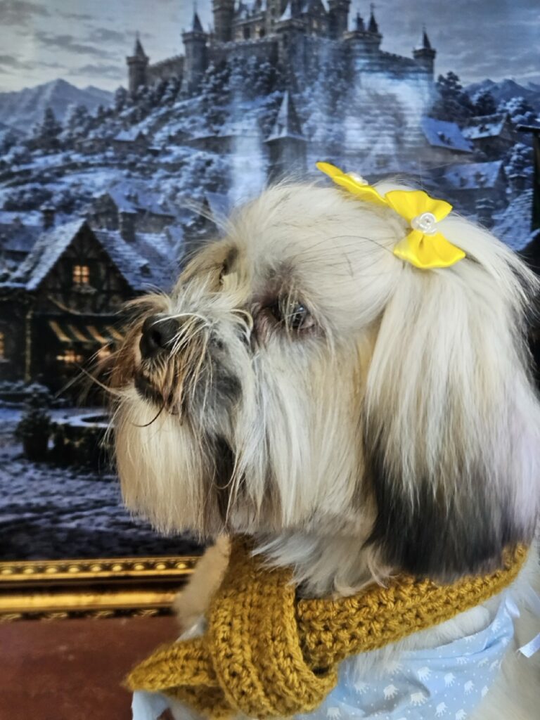 Foto de capa