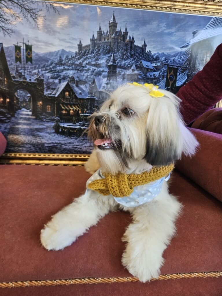 Foto de capa