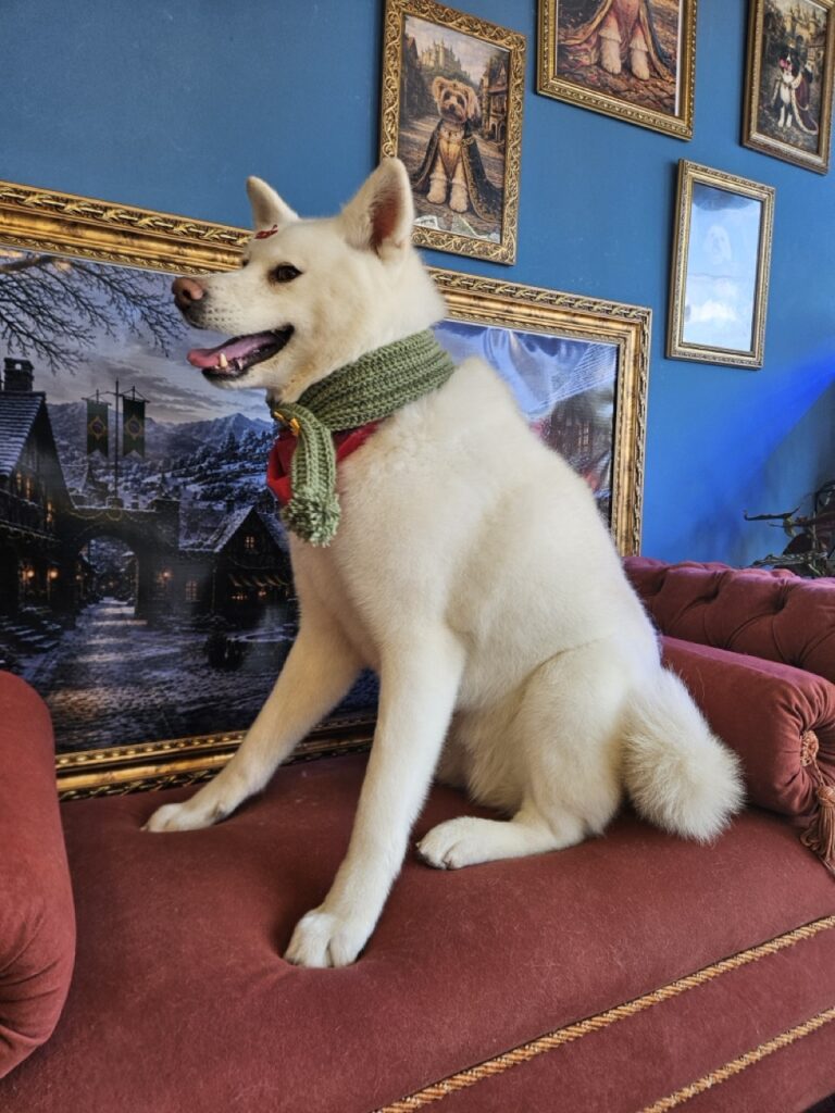 Foto de capa