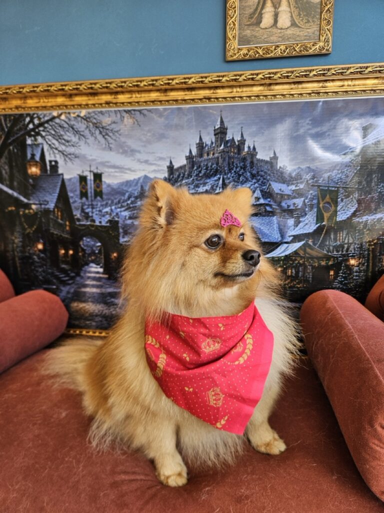 Foto de capa