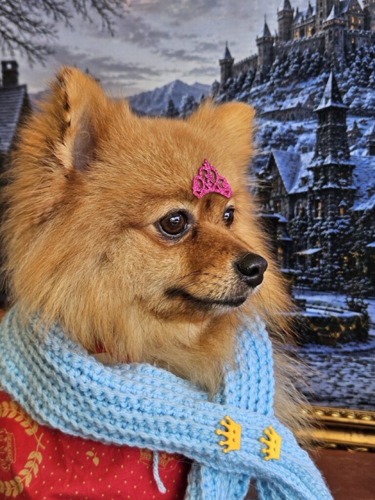 Foto de capa