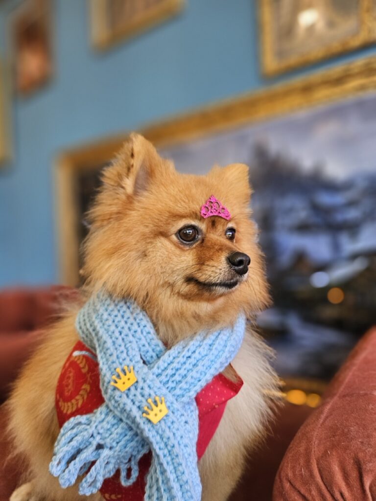 Foto de capa