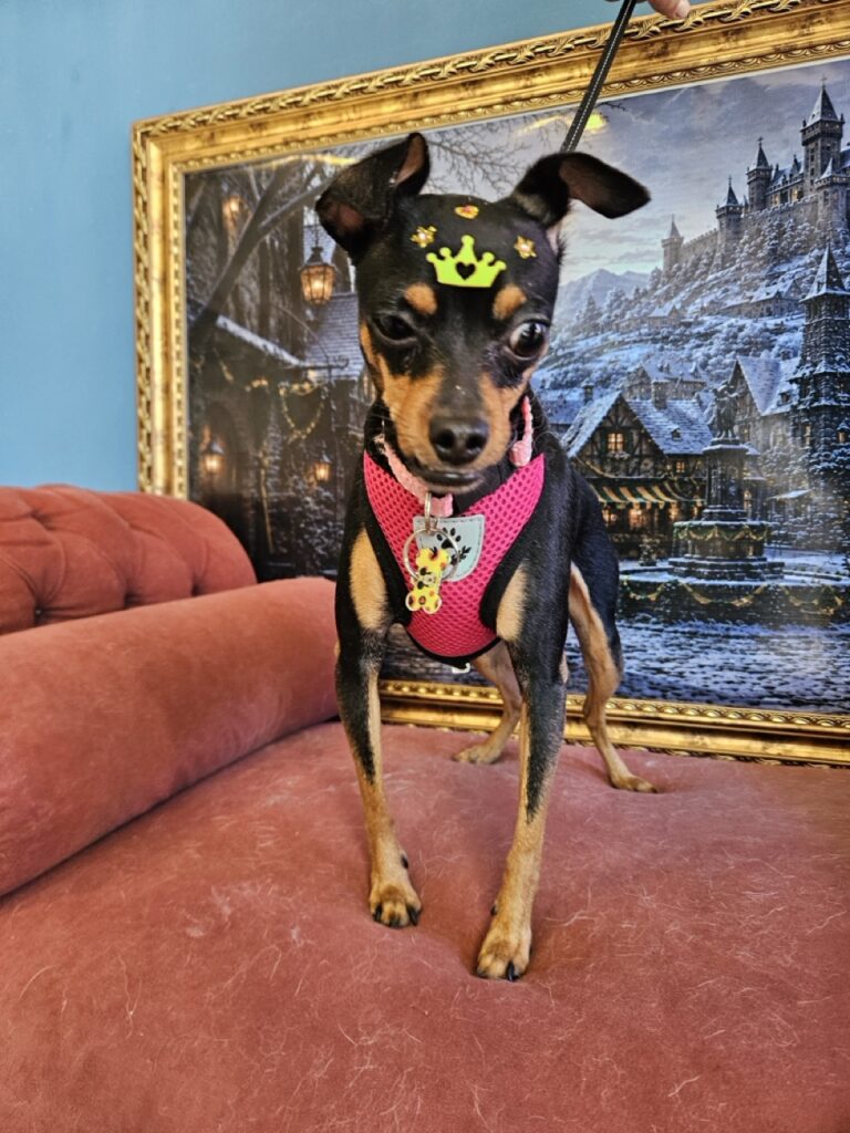 Foto de capa