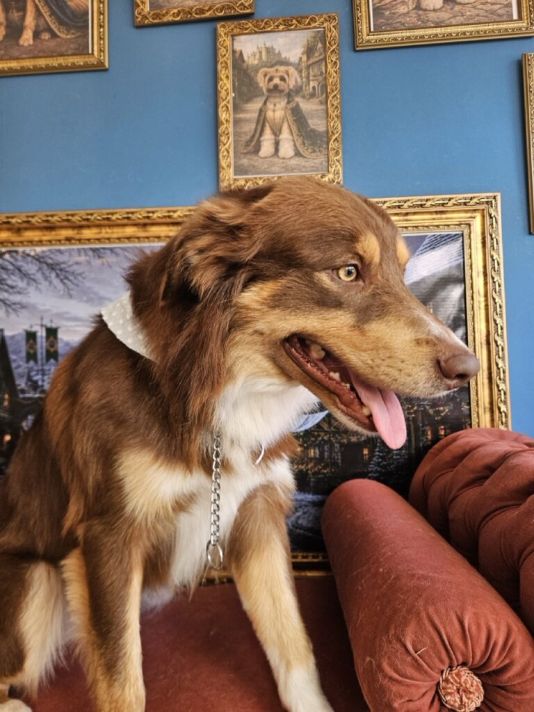 Foto de capa