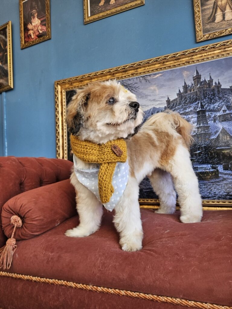 Foto de capa