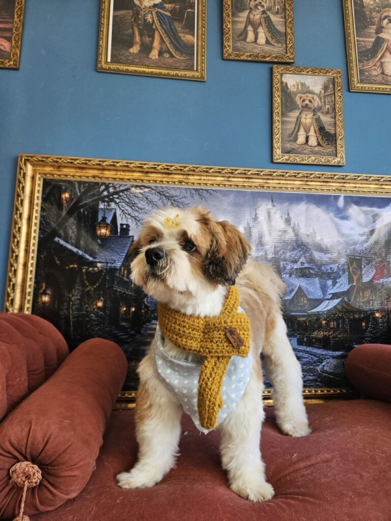 Foto de capa