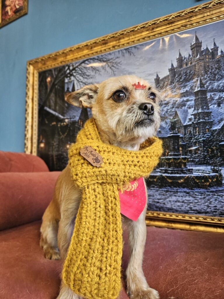Foto de capa