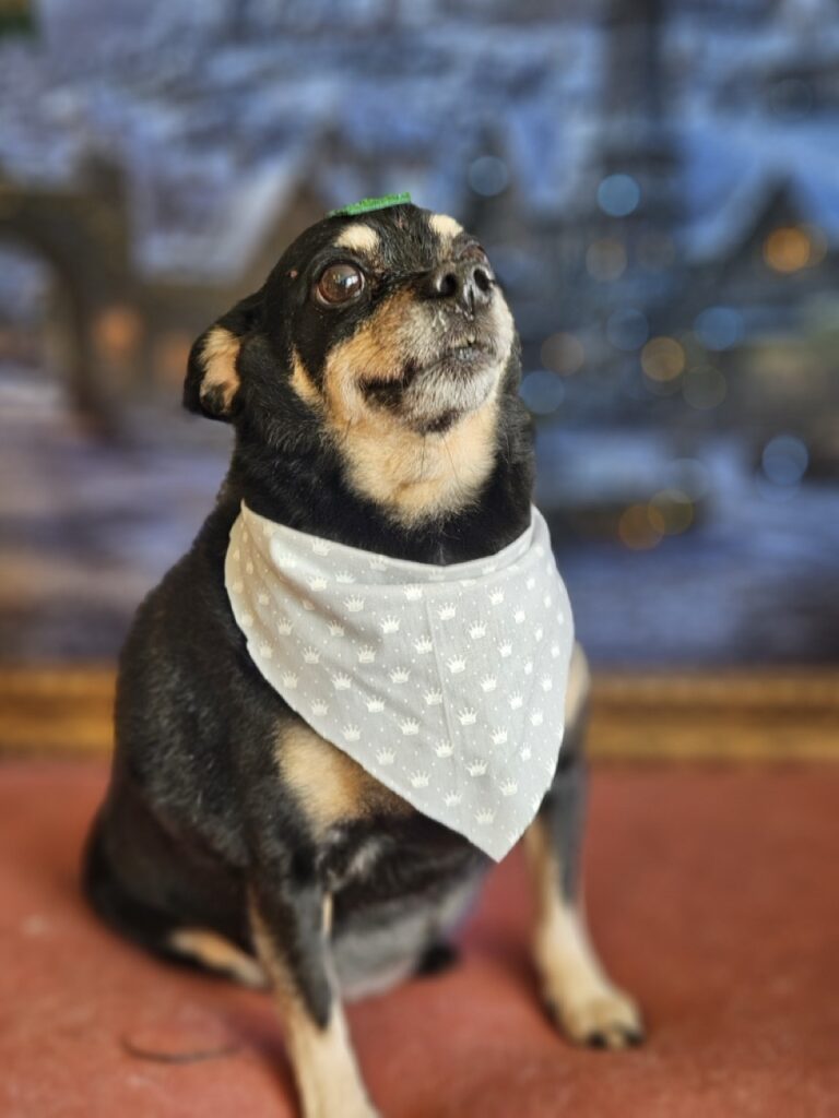 Foto de capa