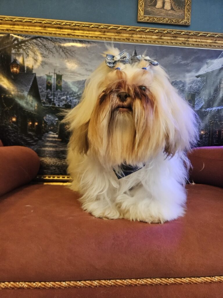 Foto de capa