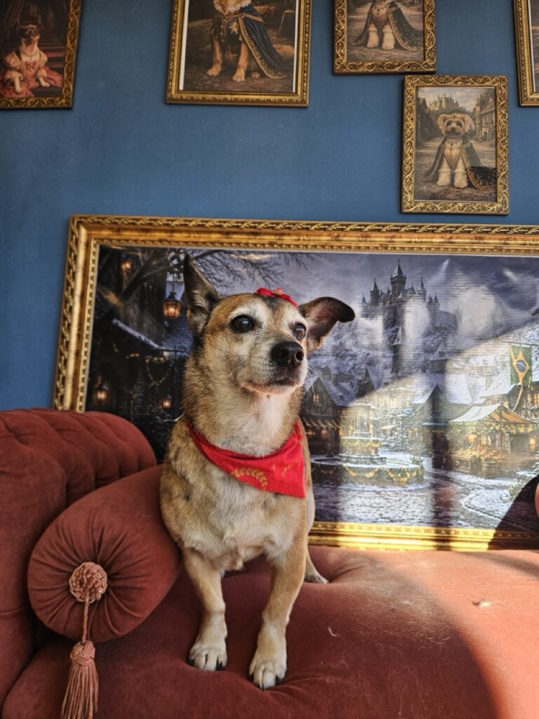 Foto de capa