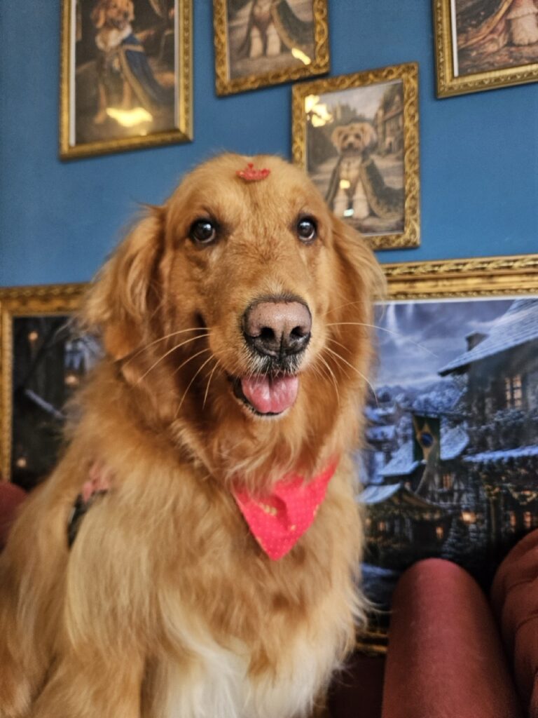 Foto de capa
