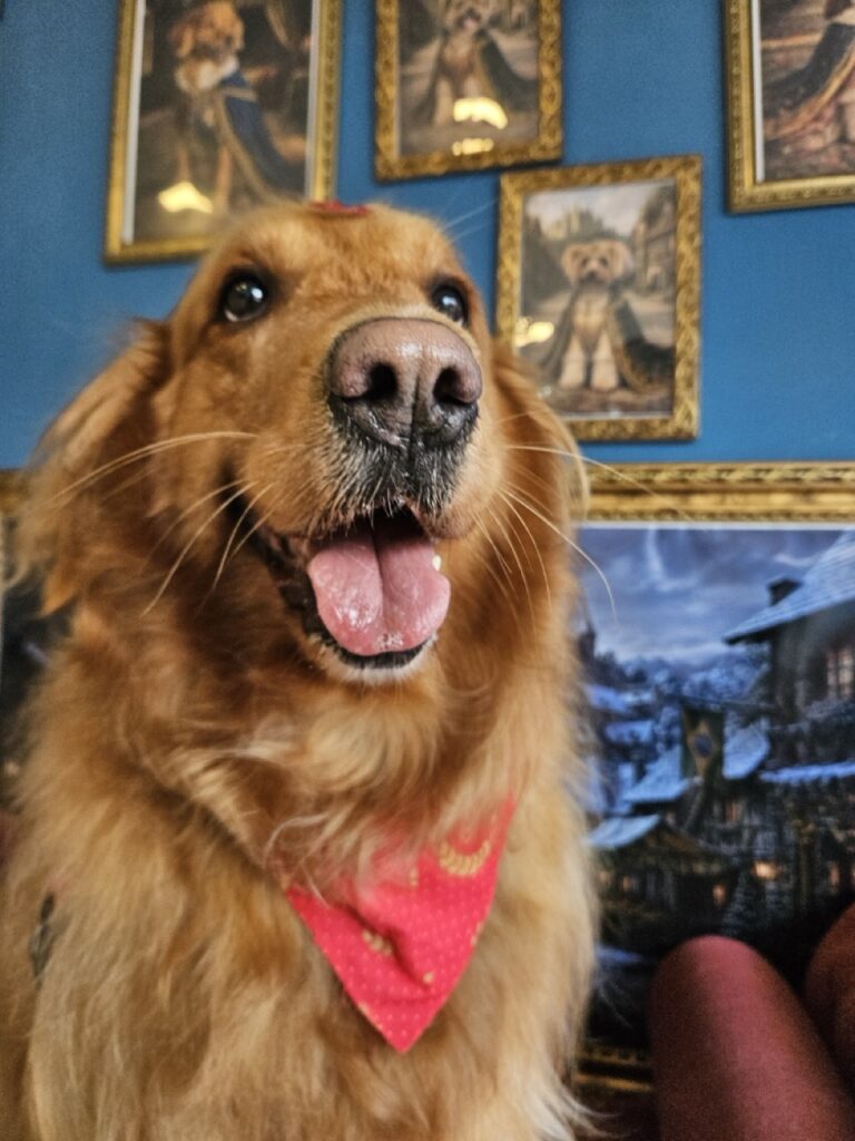 Foto de capa