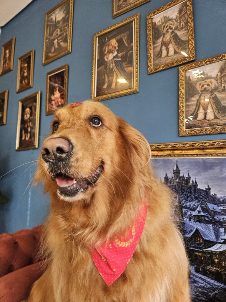 Foto de capa
