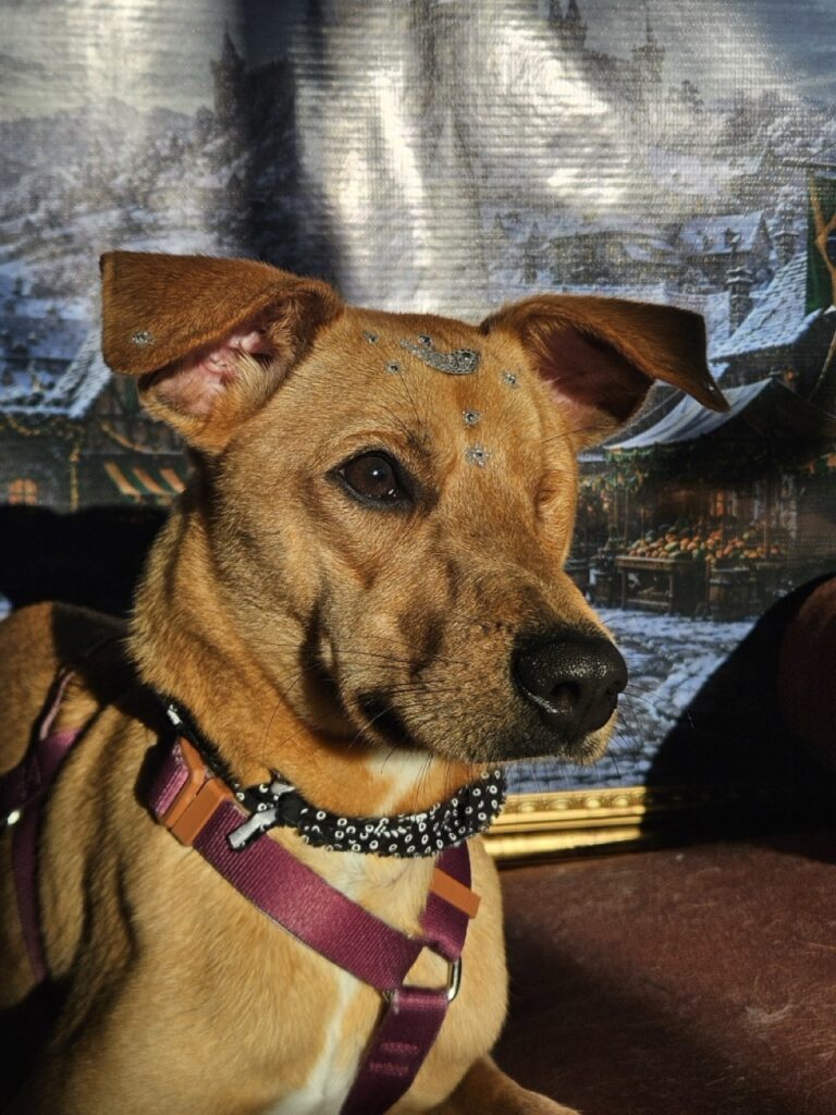 Foto de capa