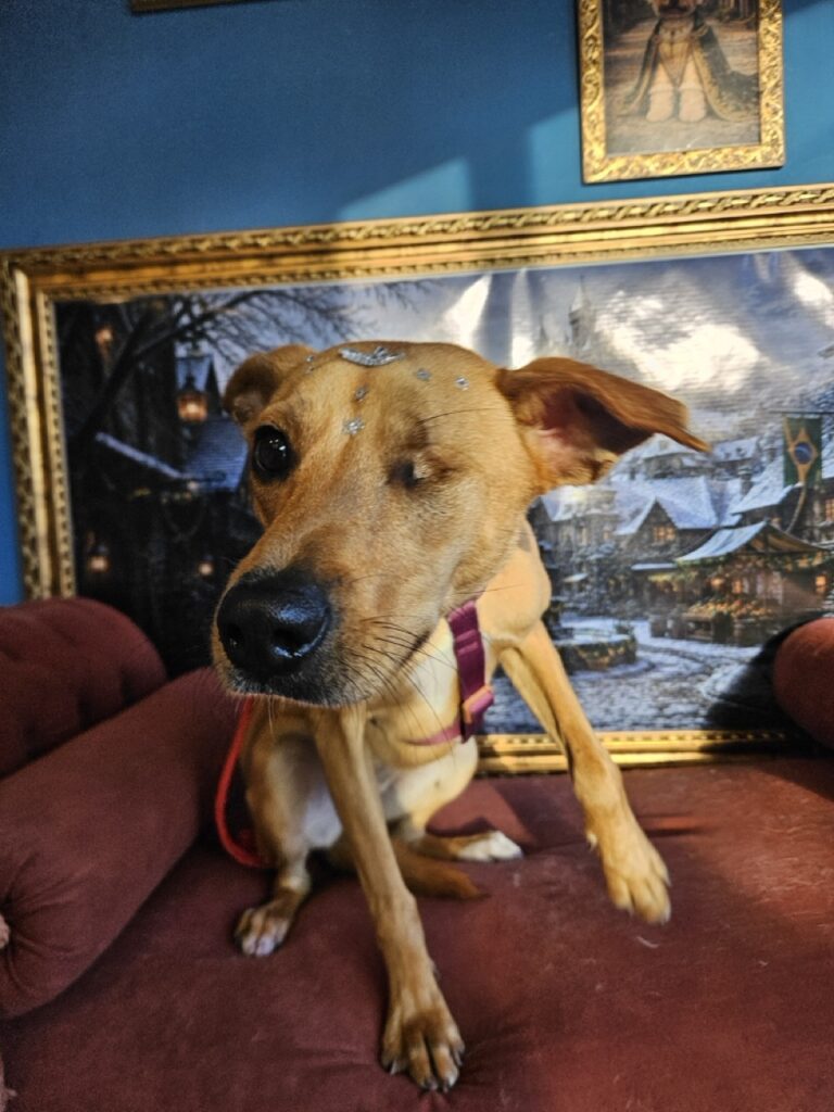 Foto de capa