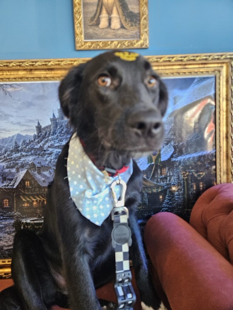 Foto de capa
