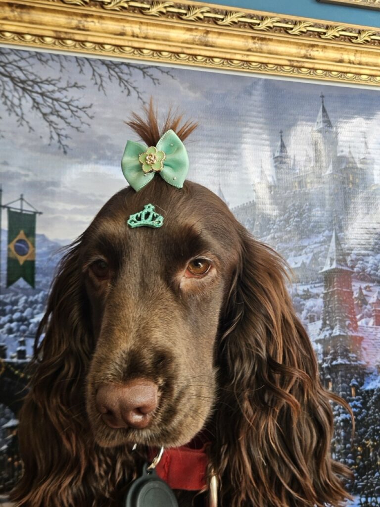 Kahli na Realeza Pets, foto 5