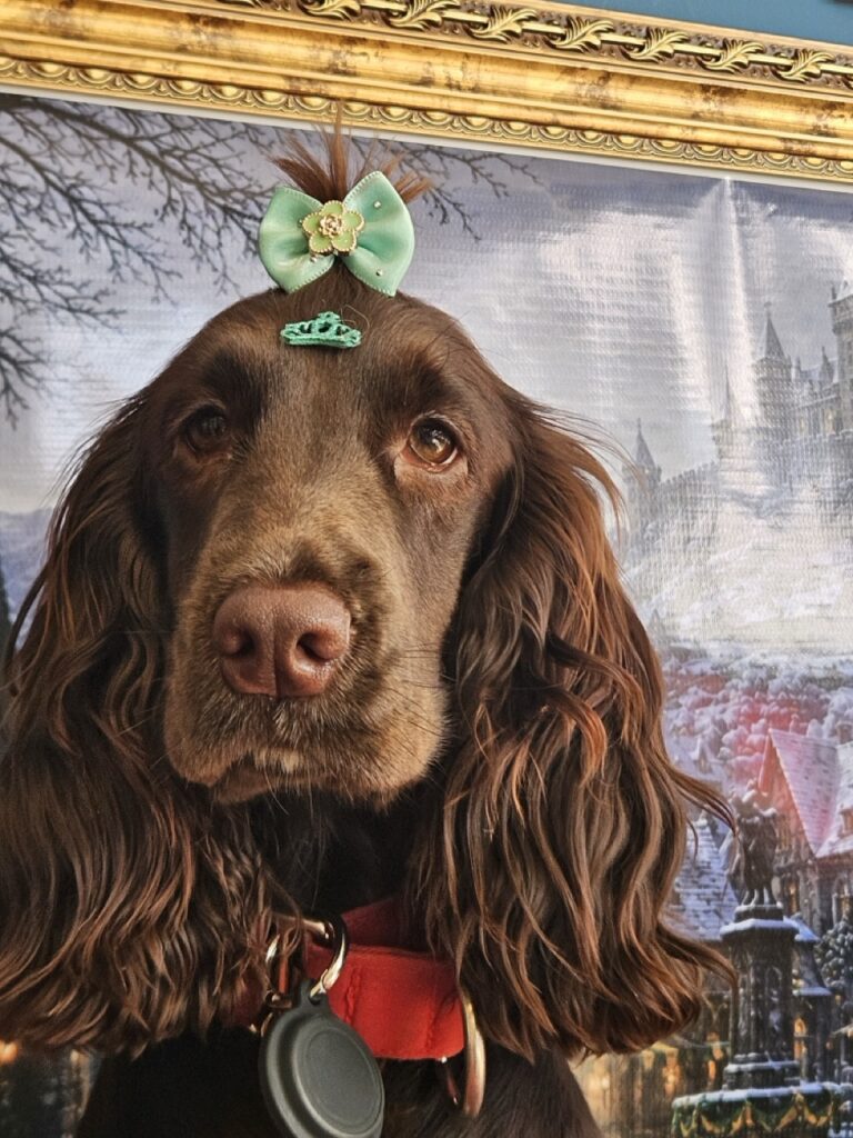 Kahli na Realeza Pets, foto 6