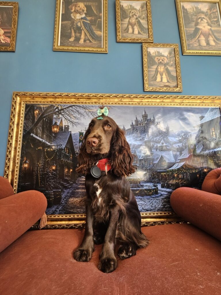 Kahli na Realeza Pets, foto 7