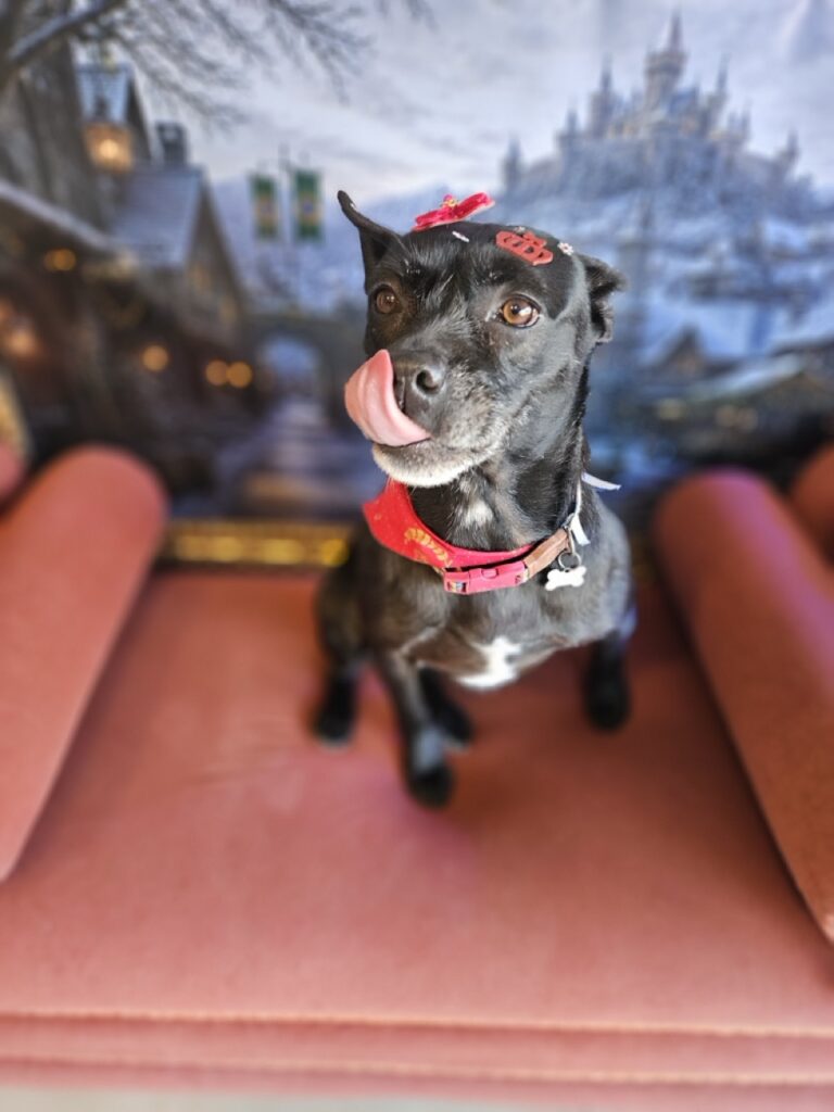 Foto de capa