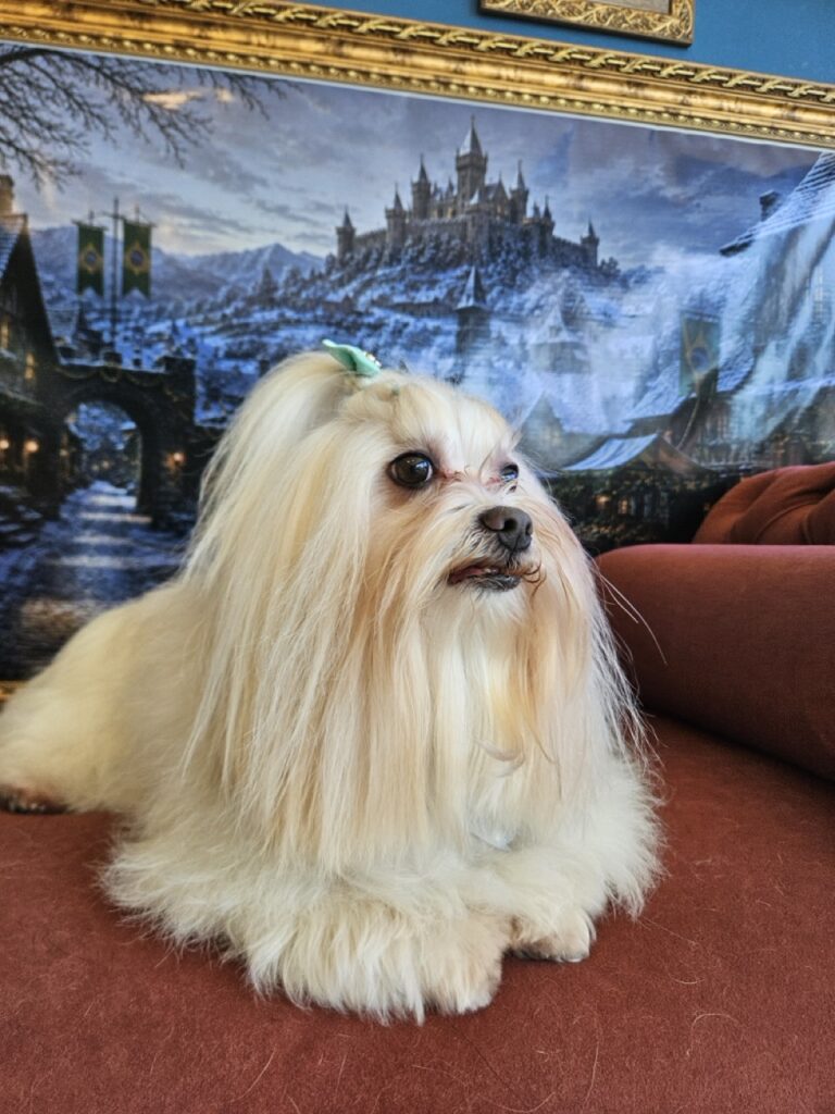 Foto de capa