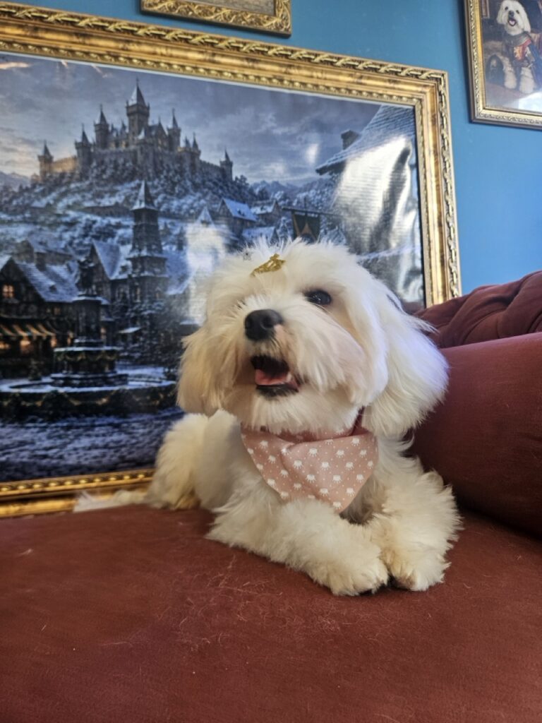 Foto de capa