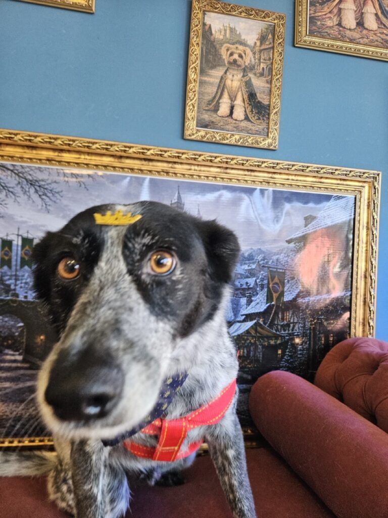 Foto de capa