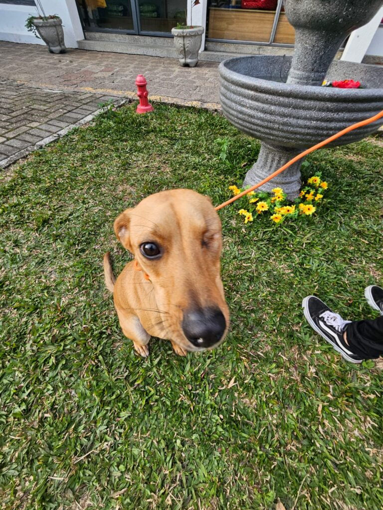 Foto de capa