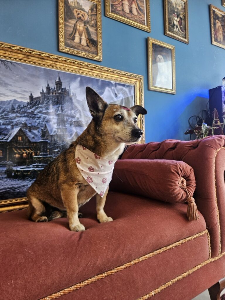 Foto de capa