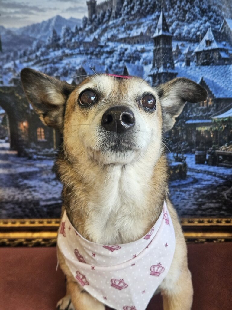 Foto de capa