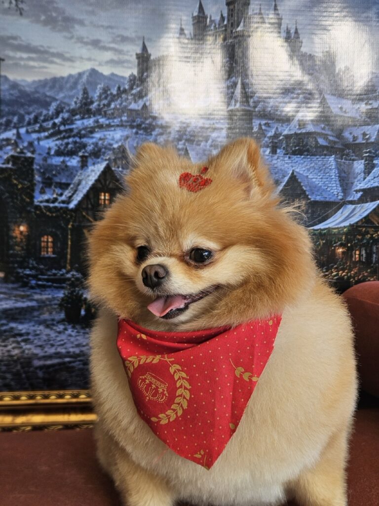 Foto de capa