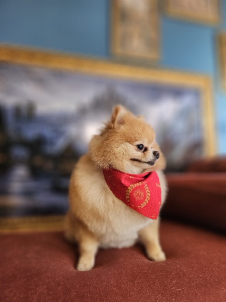 Foto de capa