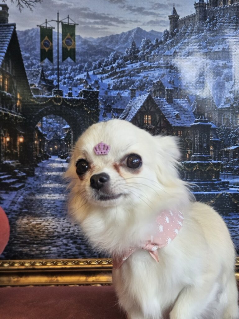Foto de capa