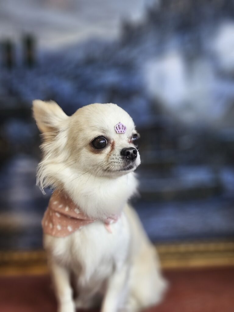 Foto de capa