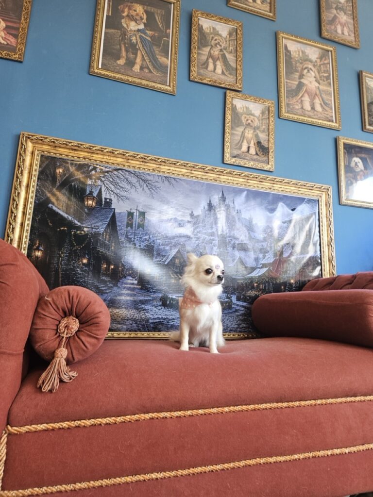 Foto de capa