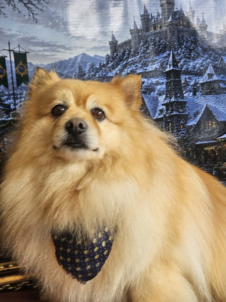 Foto de capa
