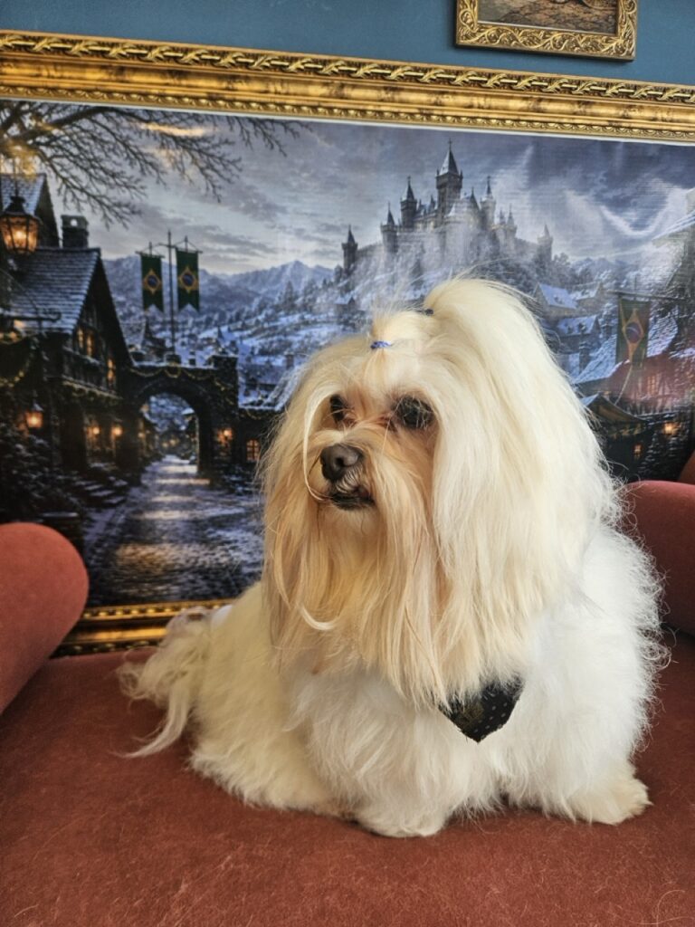 Foto de capa