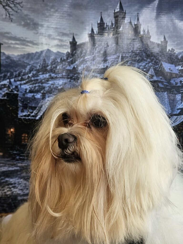 Foto de capa