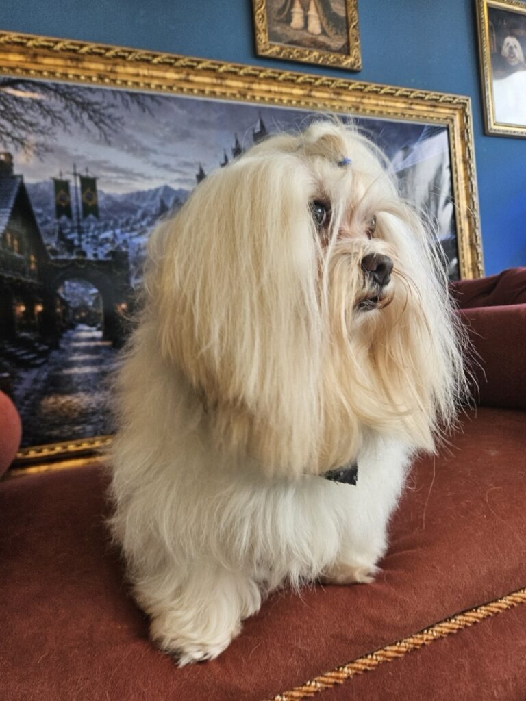 Foto de capa