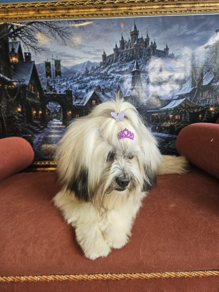 Foto de capa