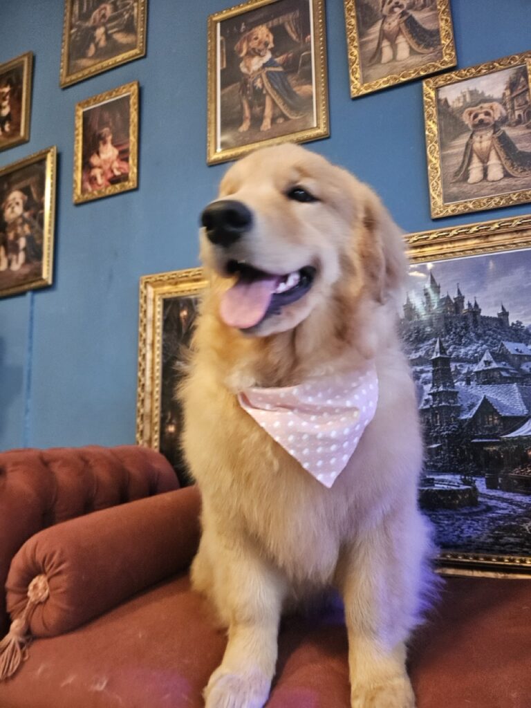 Foto de capa