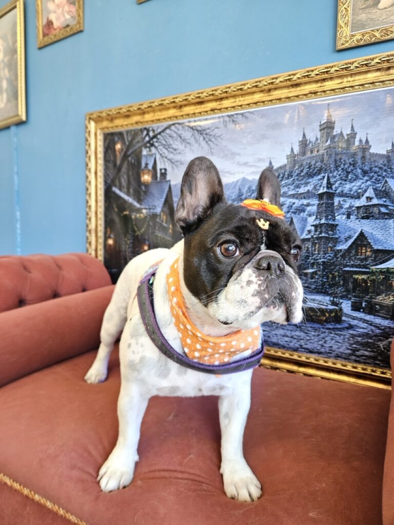 Foto de capa