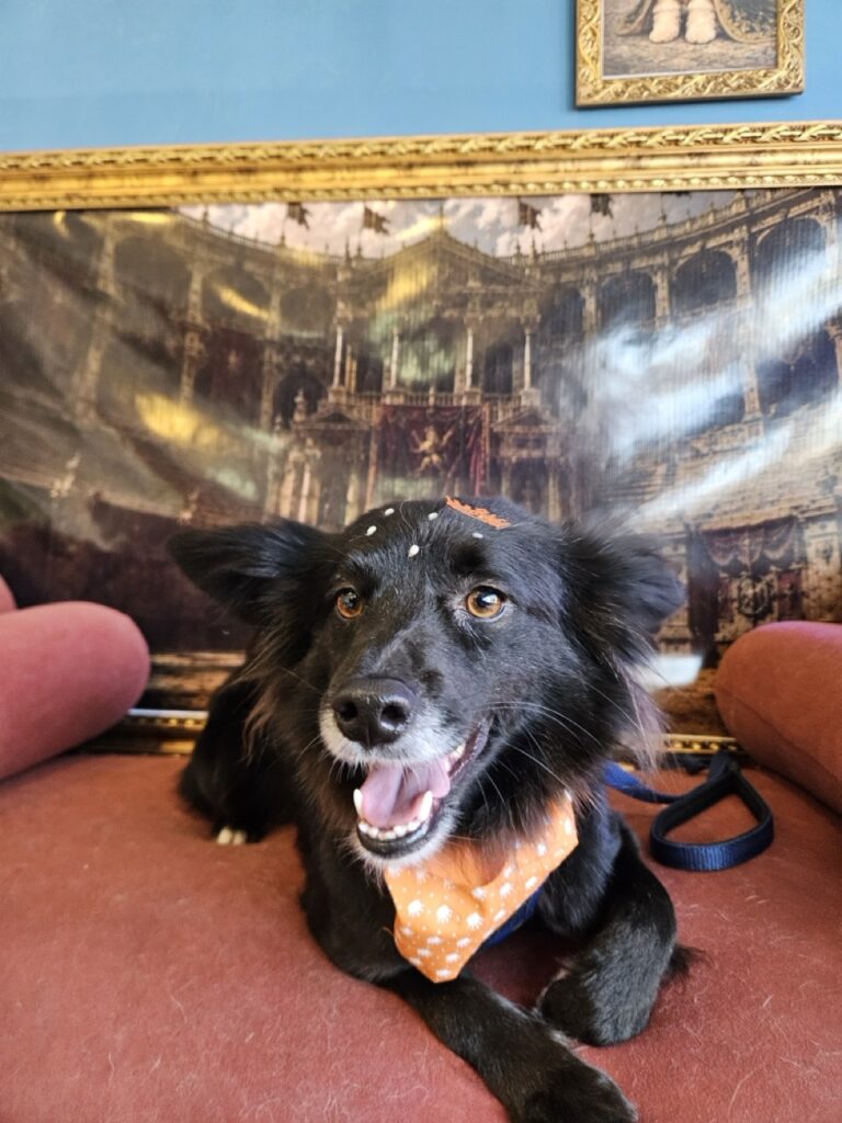 Foto de capa