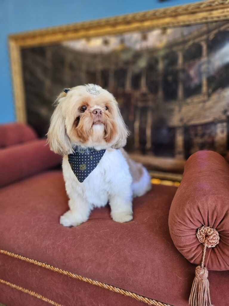 Foto de capa