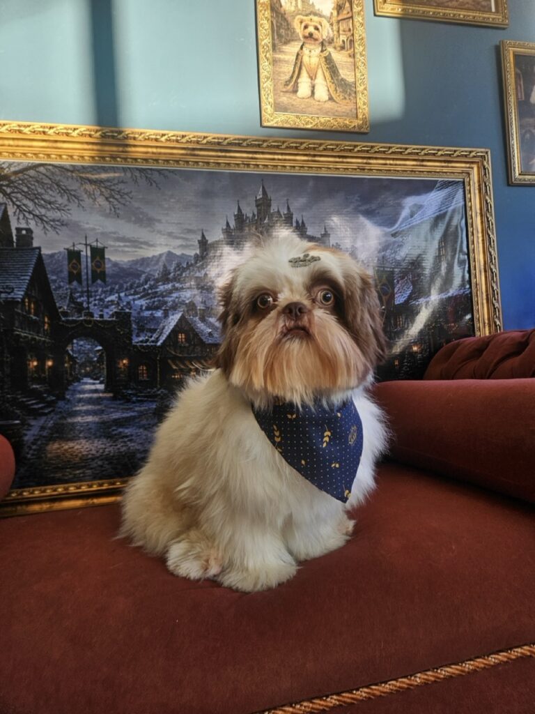 Foto de capa
